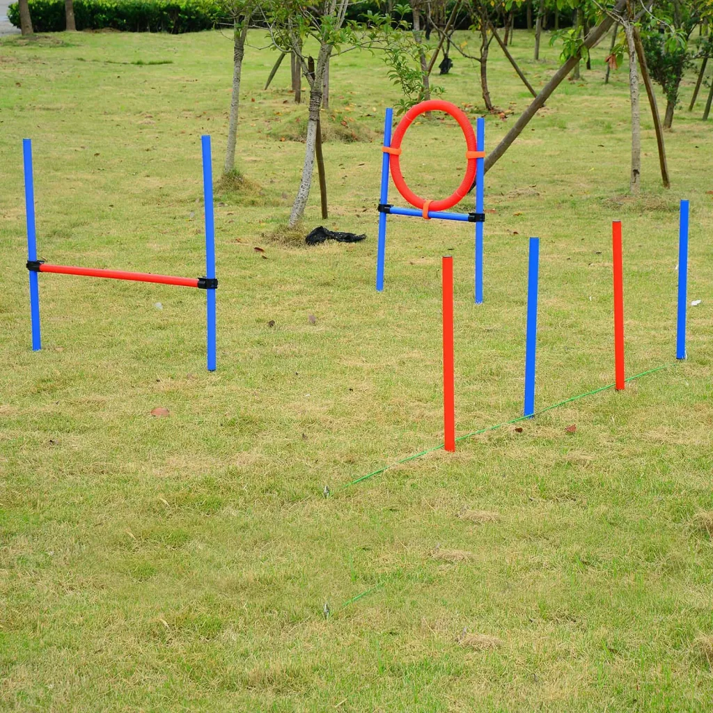Hunde Agility Slalom Übung Sprungring Training Reifen Hürdenset