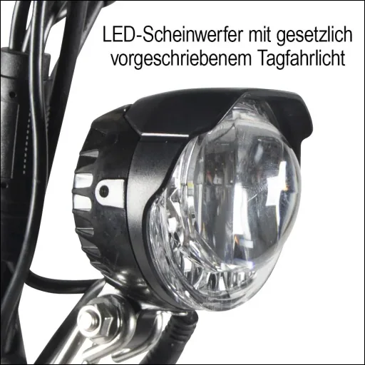 Forca E-Roller "Camper" Safety Plus 20 km/h inkl. Einkaufskorb, Blinkanlage, Gepäck-Case und Lithium-Akku schwarz
