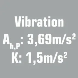 Exzenter Poliermaschine 900 Watt - 21 mm Hub - im XXL-Set