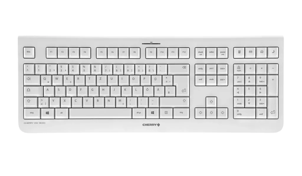 Kabelloses Tastatur-Maus-Set DW 3000 grau