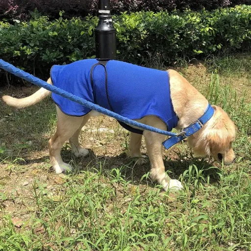 Hunde Kühlweste Kühljacke Cooling Vest schnelle Abkühlung Polyester Blau Ø50 x 50 cm
