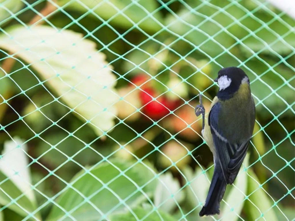 Vogelschutznetz 2x5 m, grünes Vogelschutznetz mit 20 mm Maschenweite, leichtes Polyester-Pflanzennetz für Obstbäume, Gemüse, Sträucher und Teiche, Gartennetz gegen Vogelschäden