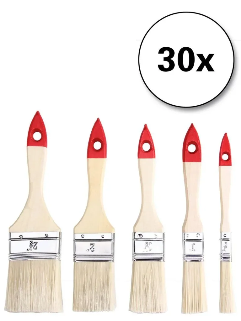 30-teiliges Pinselset - 5 verschiedene Pinsel
