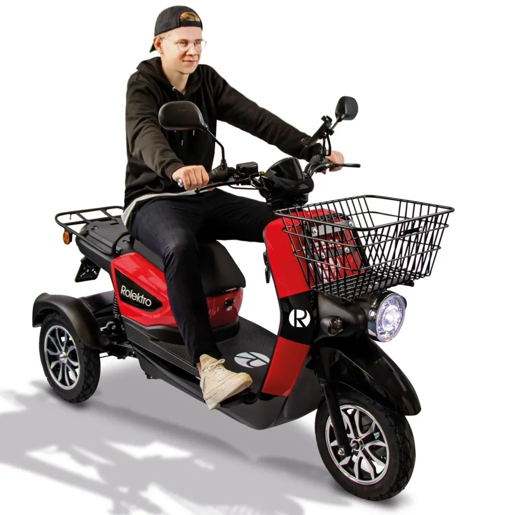 E-Carrier 25 V.3 - mit Gepäckträger
