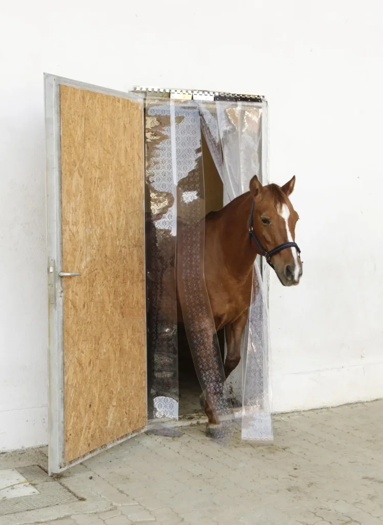 Fliegen-Streifenvorhang-Set mit PVC-Streifen, 225 x 30 cm