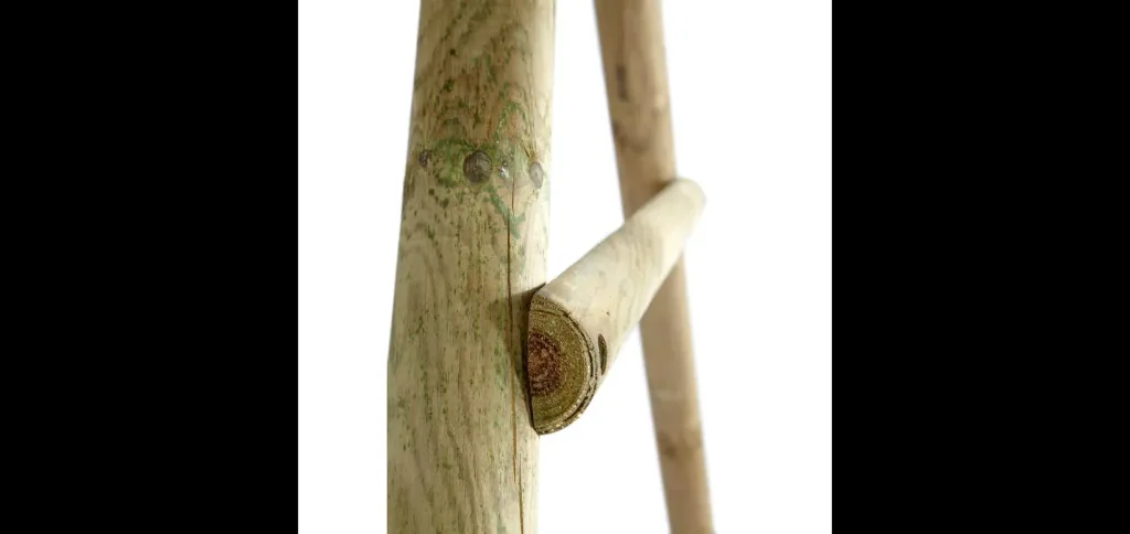 Holz Doppelschaukel Marmoset, Outdoor-Doppelschaukel für Kinder aus Holz, Schaukelseile höhenverstellbar, natur