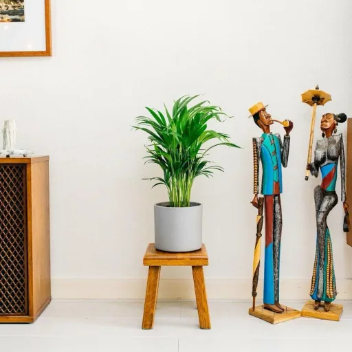 Aufblühende Arecapalme - Goldpalme - Dypsis Lutescens Areca - Groß - 65-70 cm - 2 Stück