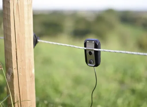 Pulse Flash, schwarz, mit grüner LED