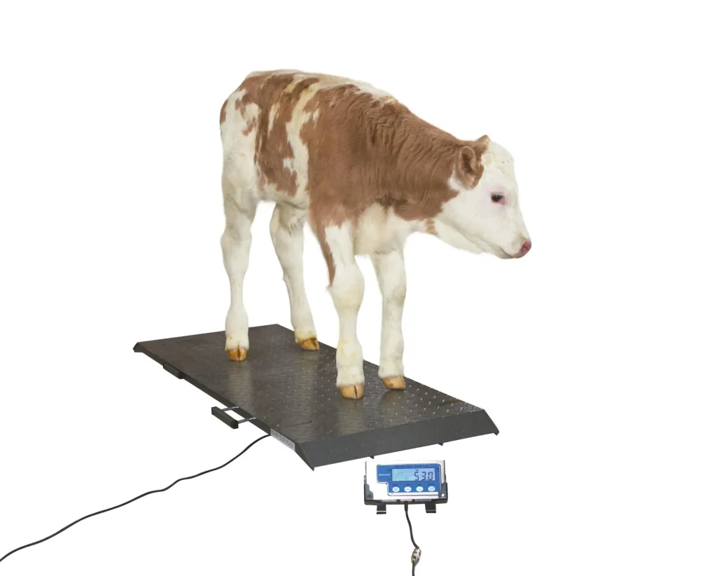 Tierwaage PS1000 bis 500kg