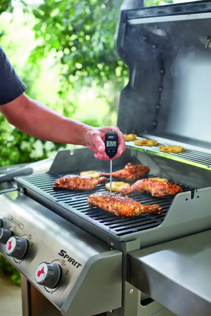 Digital Taschenthermometer