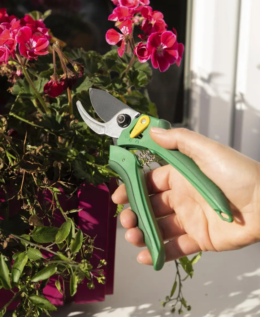 Einhand-Gartenschere vorbeischneidend