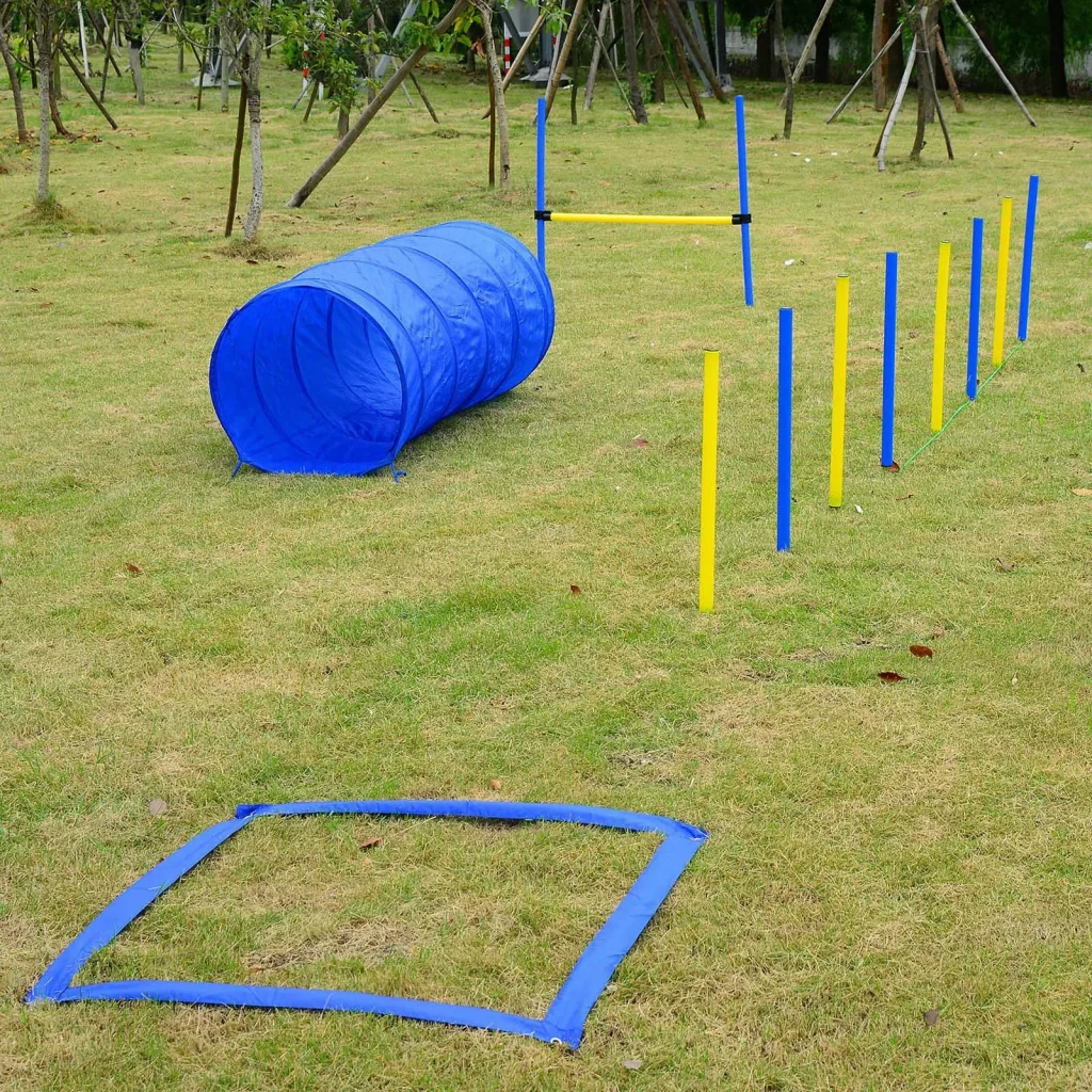 Hund Agility Tunnel Slalom Übung Hundesport Training Reifen Hürde Set