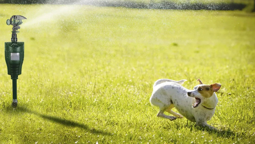Wasser-Tiervertreiber