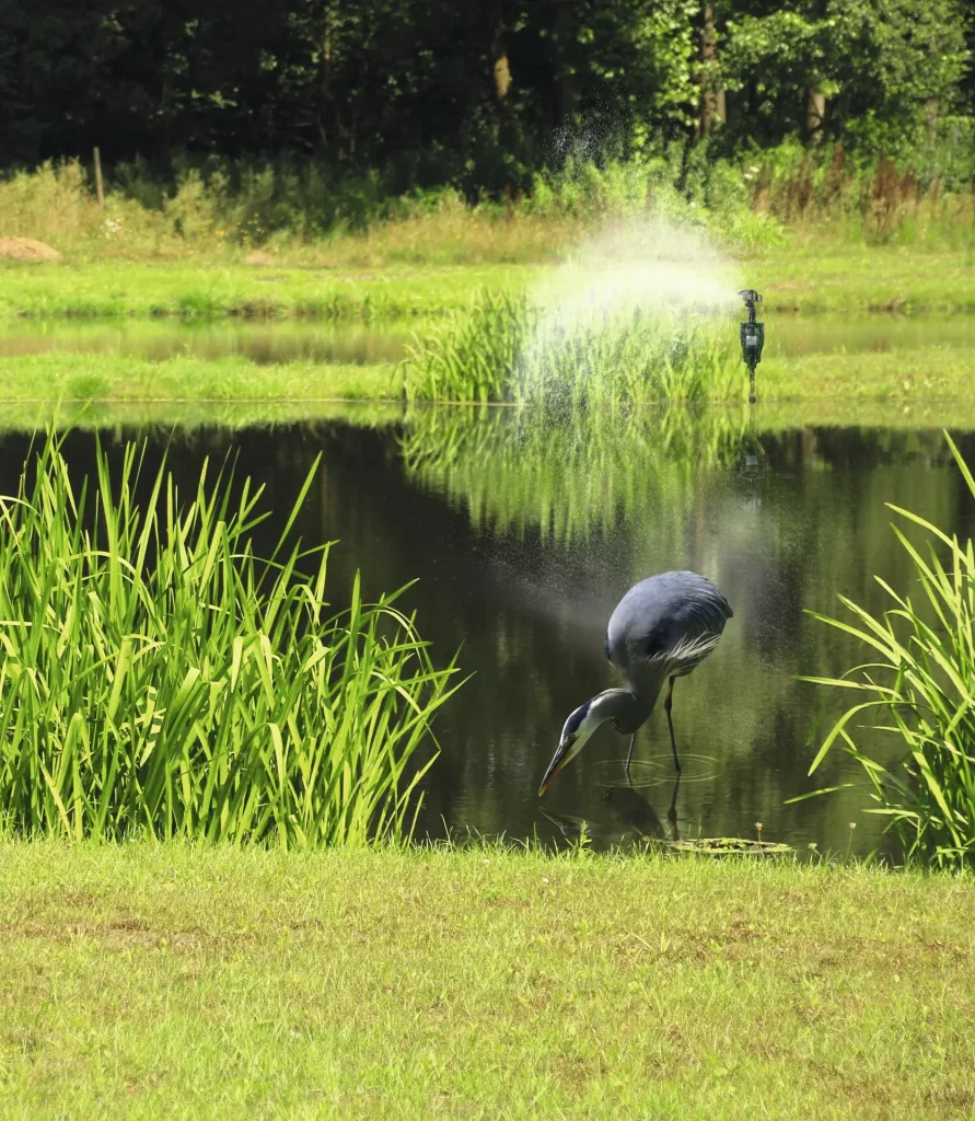 Wasser-Tiervertreiber