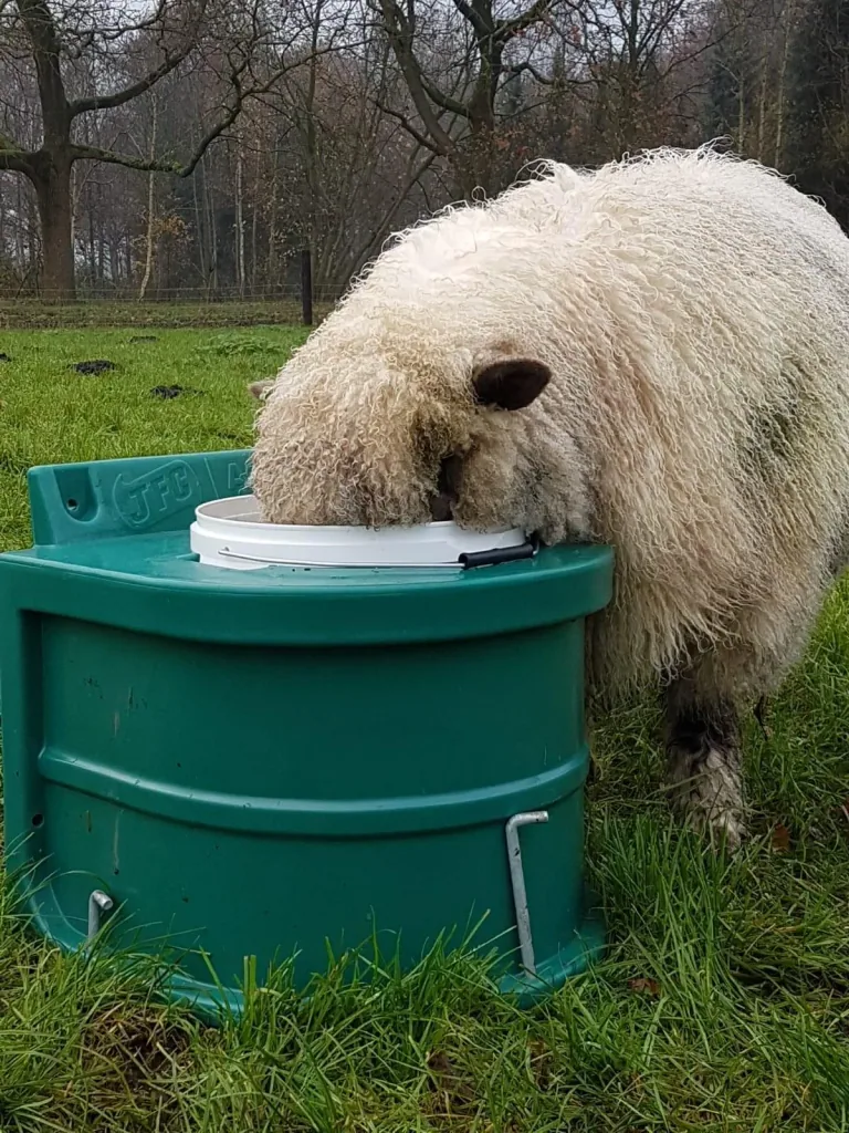 Tränke-Frostschutzeimer, 20 Liter