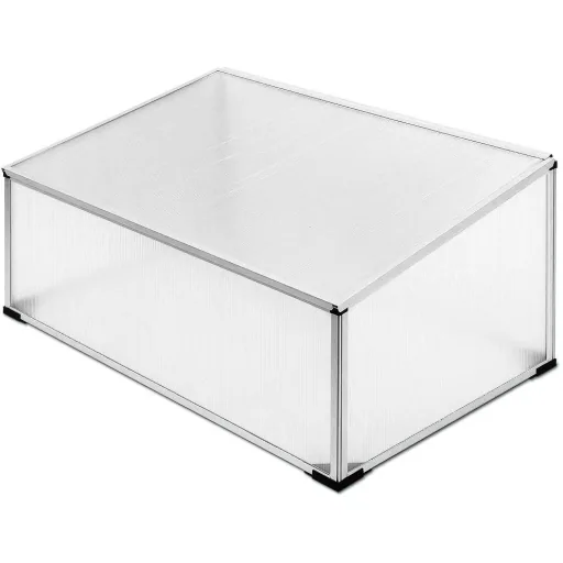 Kleines Gewächshaus 100 x 60 x 40/31 cm