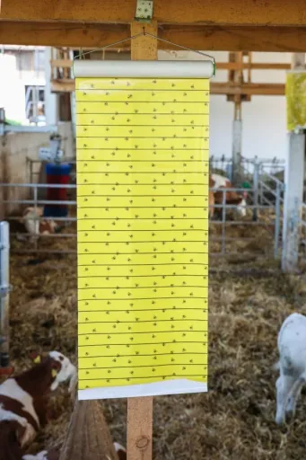 Stall-Fliegenrolle JumboXL 10 m x 40 cm