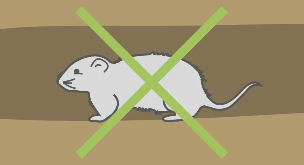 Wühlmauskorb groß