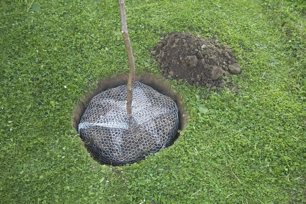 Wühlmauskorb groß