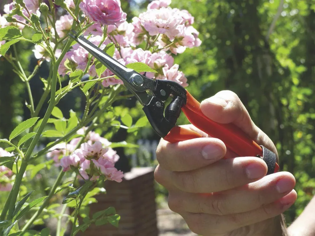 "Wunderschere" - der Allesschneider für Haus & Garten