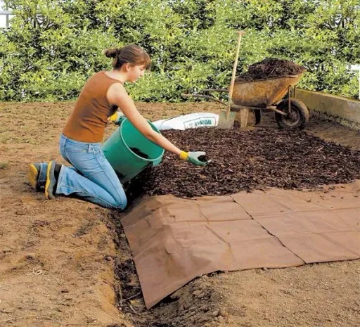 Bio Mulch Vlies, 3 x 10 m - in Profiqualität
