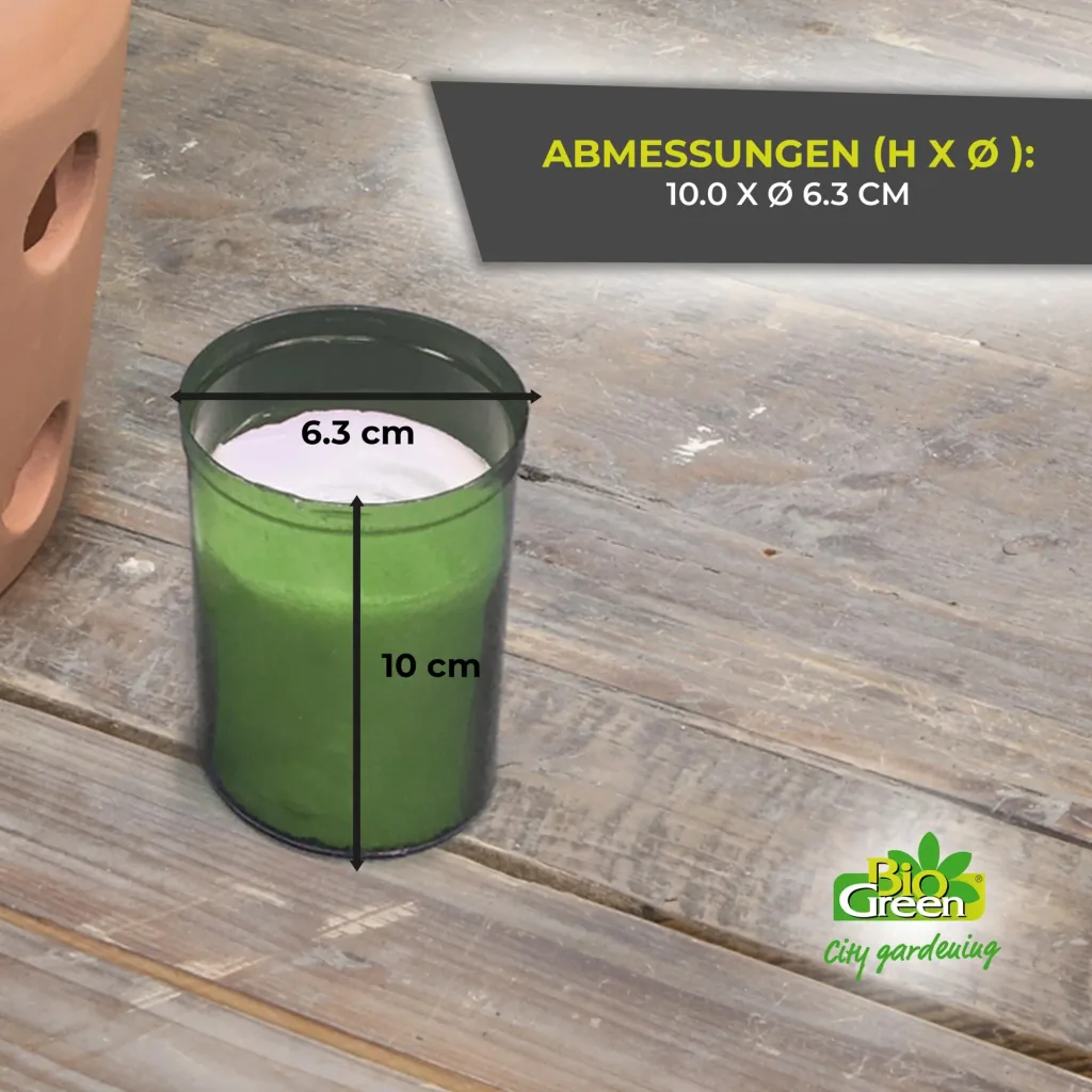 Kerzen für Frostwächter Firefly - 6 Stück
