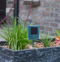 Solar-Vogelschreck mit Abwehrton & Blitzlicht