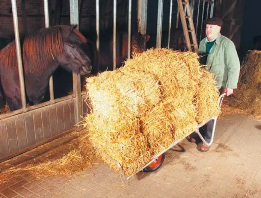 Schweizer Karre aus Alu, 100 kg Tragkraft