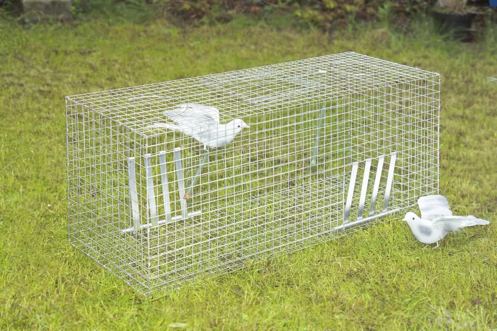 Taubenfalle, 102 x 42 x 36 cm