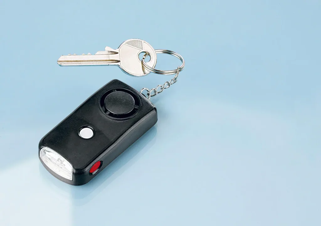 Alarm Schlüsselanhänger - 2 Stück