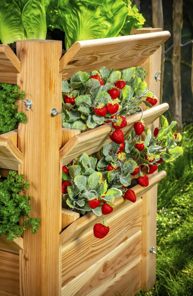 Westmann Hochbeet Premium XXL, 91×90,5×73 cm, Natur – FSC-Lärchenholz, rückenschonend