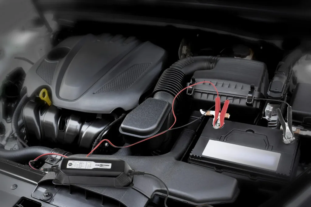 Ladegerät für 6V, 12V und 24V Blei Akkus ab 4,5Ah