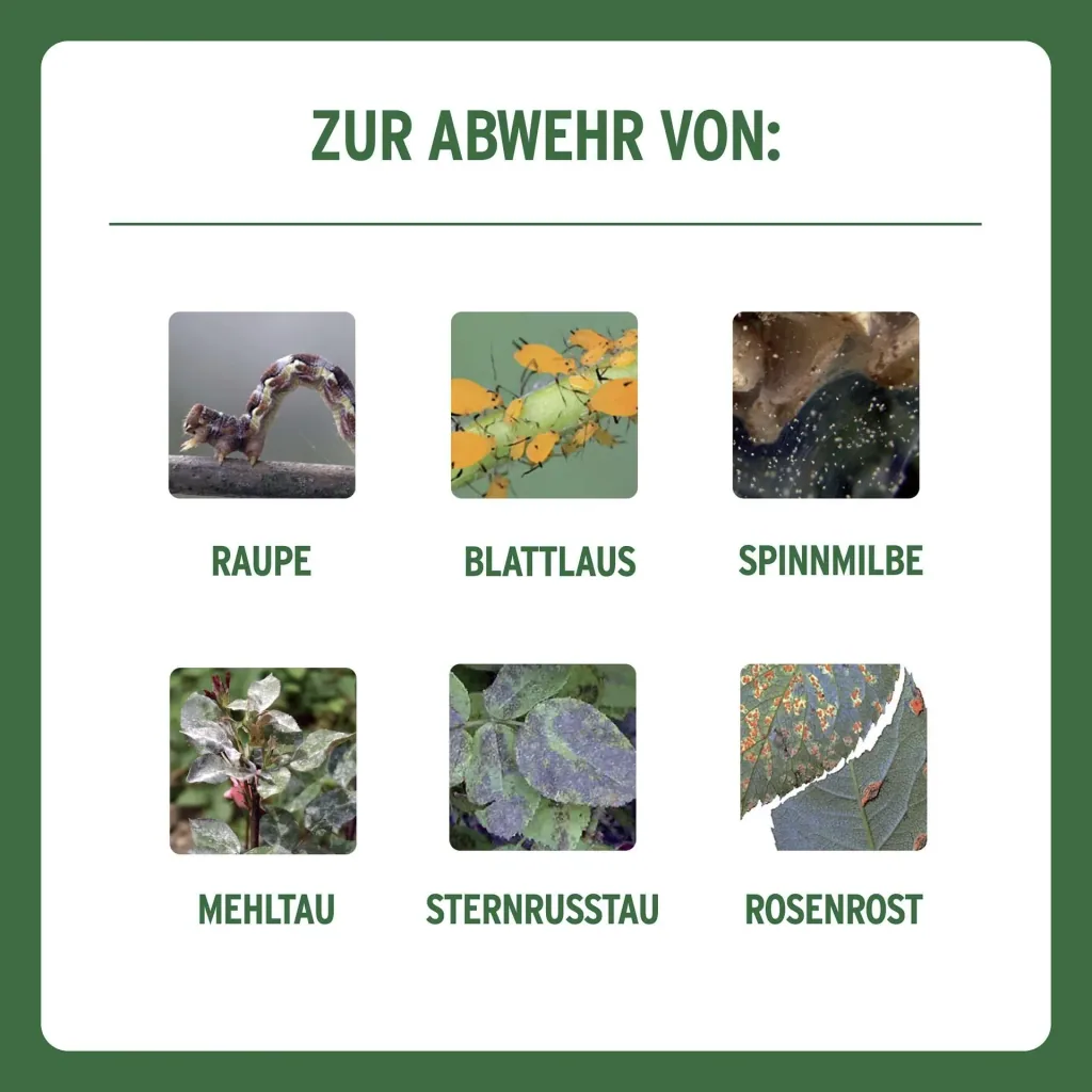 Combi-Rosen Spritzmittel für 10 Liter