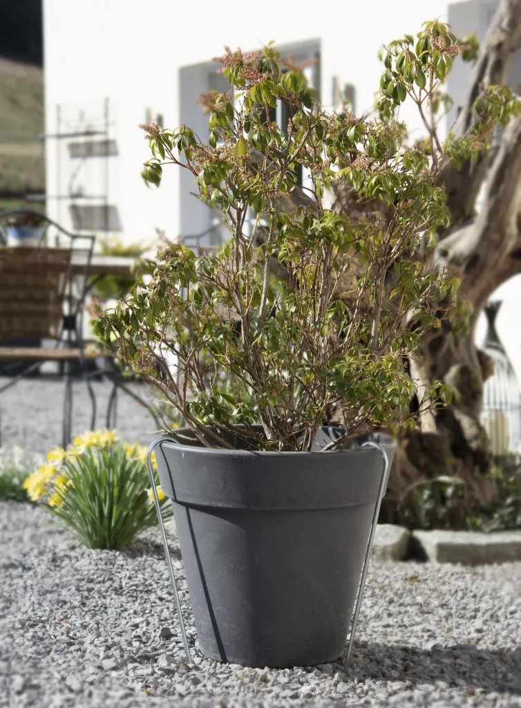 Bodenanker XL Metall 50 cm