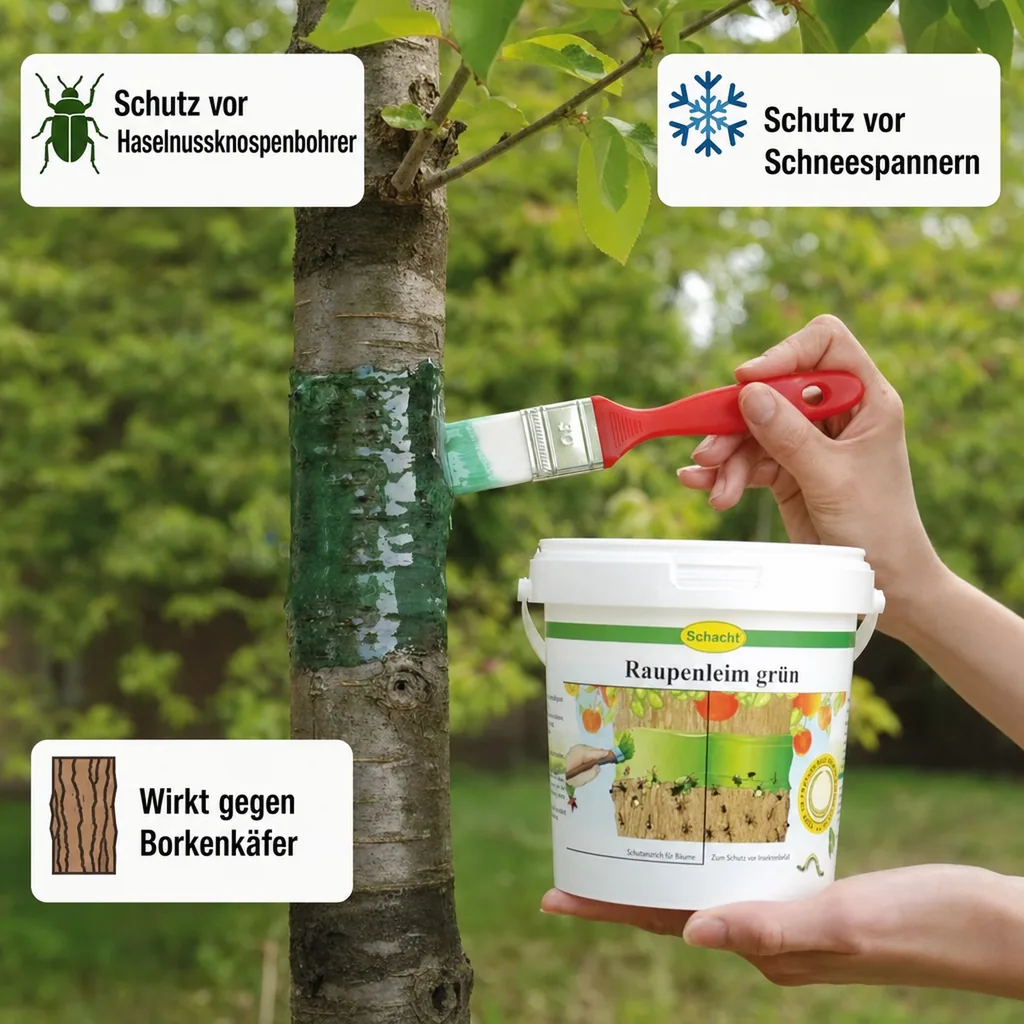 Raupenleim, grün, 250 g Dose - zum Schutz Ihrer Bäume