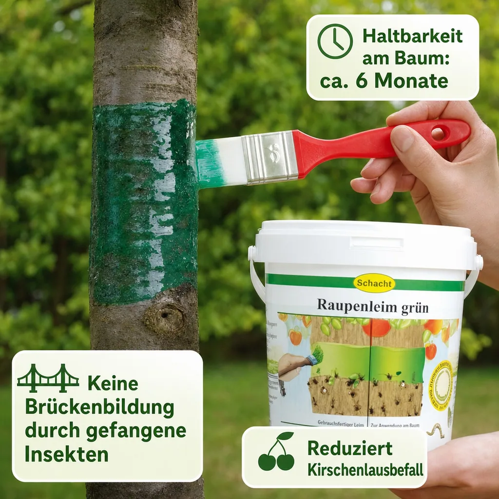 Raupenleim, grün, 250 g Dose - zum Schutz Ihrer Bäume