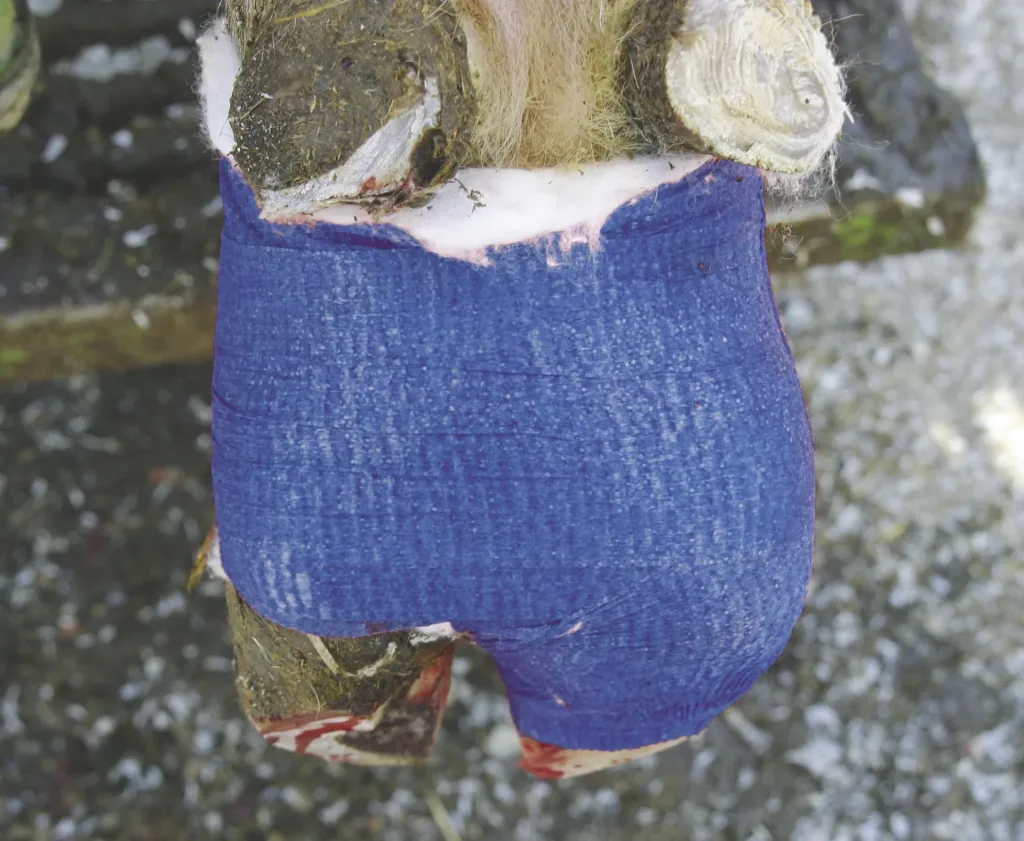 "VetLastic" Bandage, hellgrün, 7,5 cm, selbsthaftend