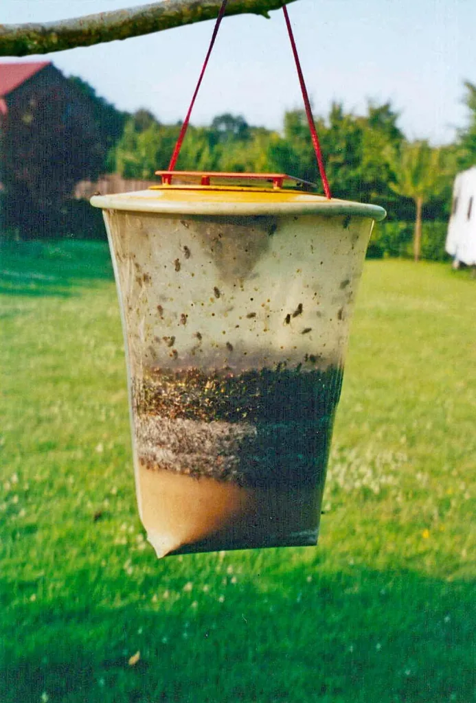 Fliegenfalle, Gr. L, 3 l - Einwegfalle