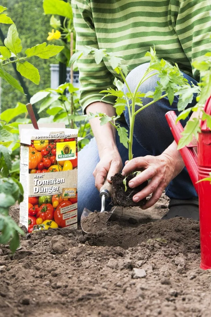Azet Tomatendünger - 2,5 kg