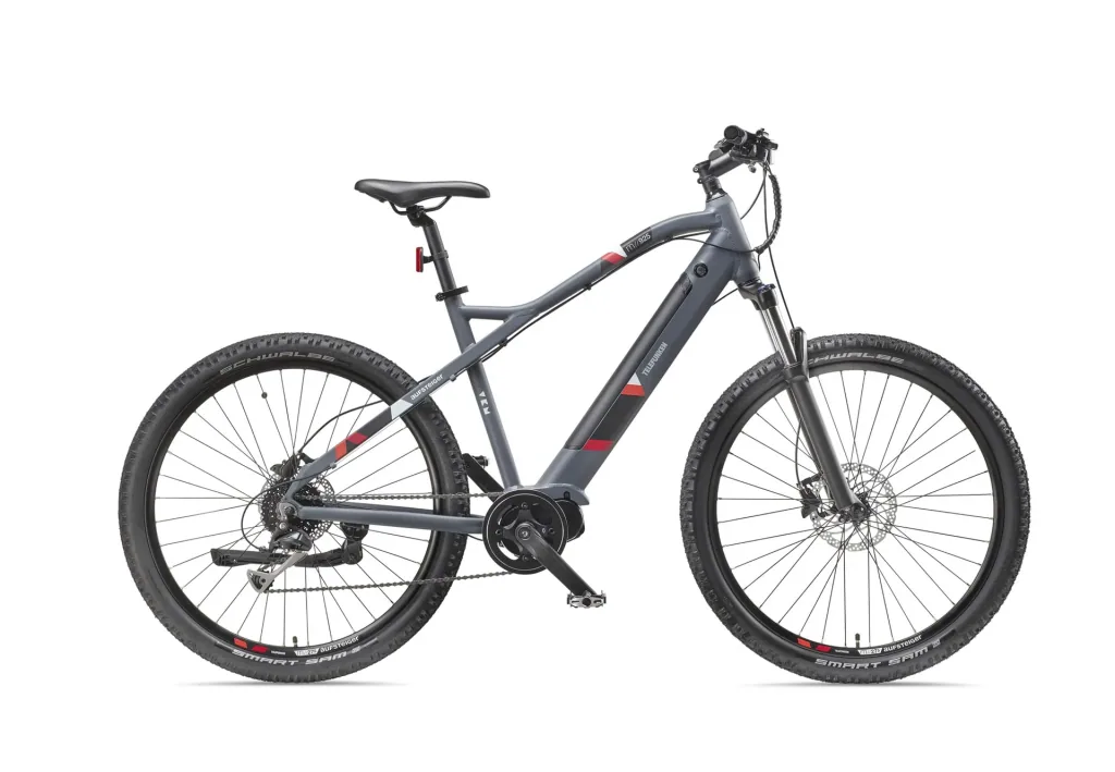 Unisex Alu MTB E-Bike, 29 Zoll, 8-Gang Kettenschaltung, grau, Aufsteiger M925 Hardtail