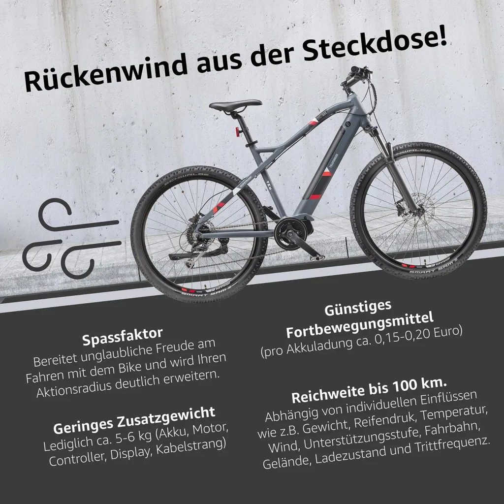 Unisex Alu MTB E-Bike, 29 Zoll, 8-Gang Kettenschaltung, grau, Aufsteiger M925 Hardtail
