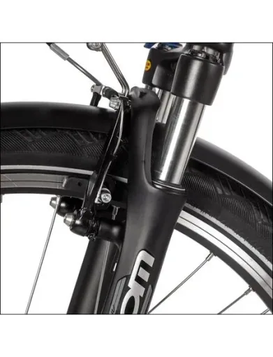 Unisex City E-Bike, 28 Zoll, Rahmenhöhe 50 cm, 7-Gang Nabenschaltung, silber, Hamburg