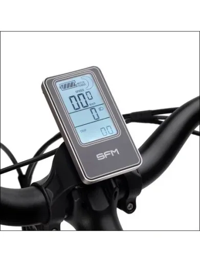 Unisex City E-Bike, 28 Zoll, Rahmenhöhe 50 cm, 7-Gang Nabenschaltung, silber, Hamburg