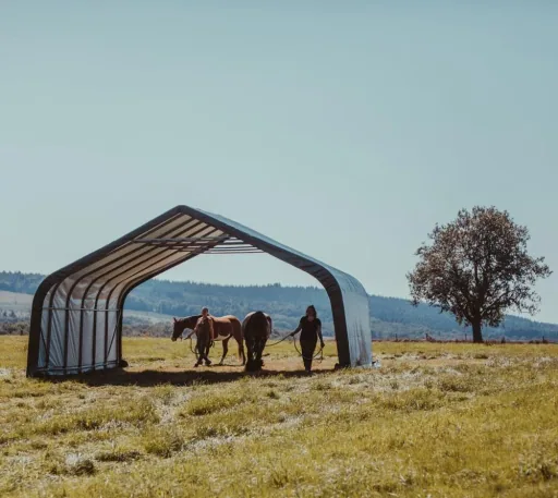 ShelterLogic Weidezelt Run-In-Shed 40,87 m² Grün, 670×610 cm – offener Unterstand für Pferde & Vieh, wetterfest