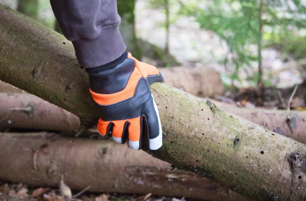 Motorsägenhandschuh Forester Gr. 9/L