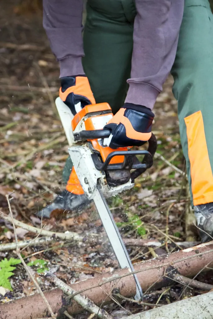 Motorsägenhandschuh Forester Gr. 9/L