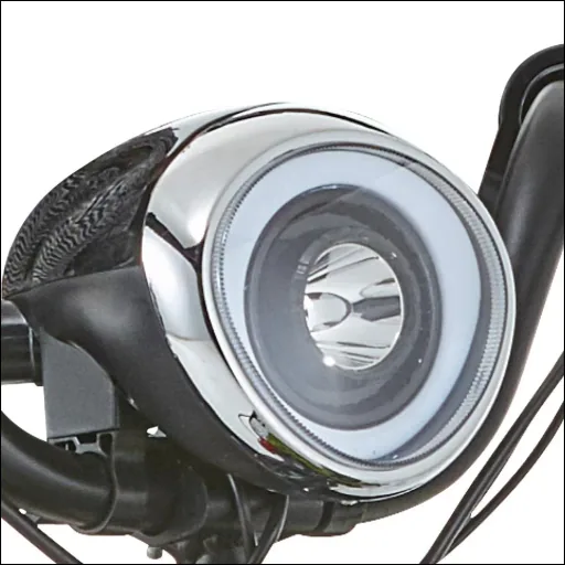 4-Rad E-Mobil Assisi 2.0 6 km/h Basic: 36V/10Ah Li-Ionen, faltbar, blau