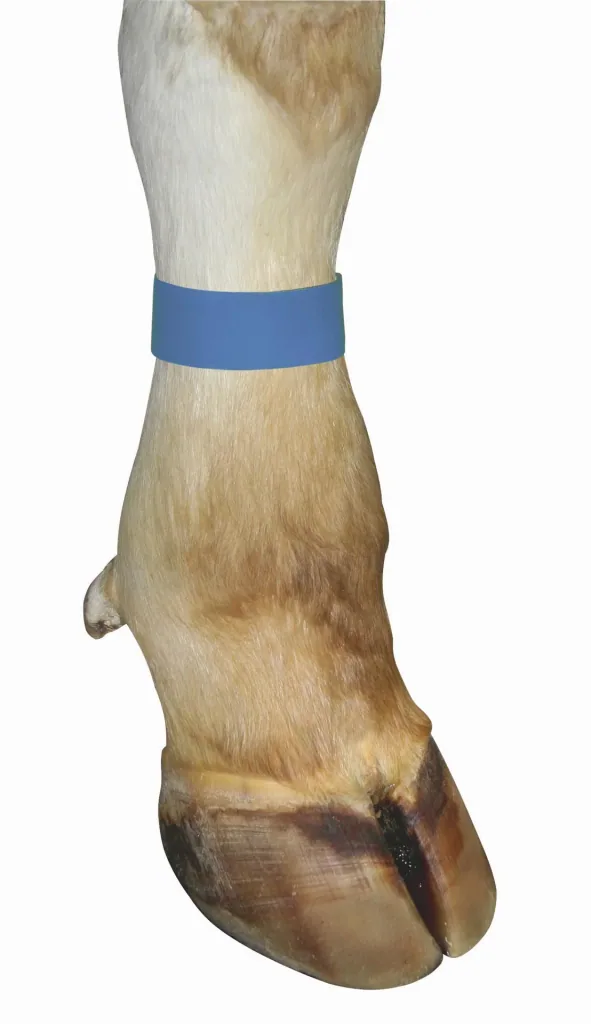 Markierungsbänder für Kühe, mit Klettverschluss, Farbe gelb, 10er Pack