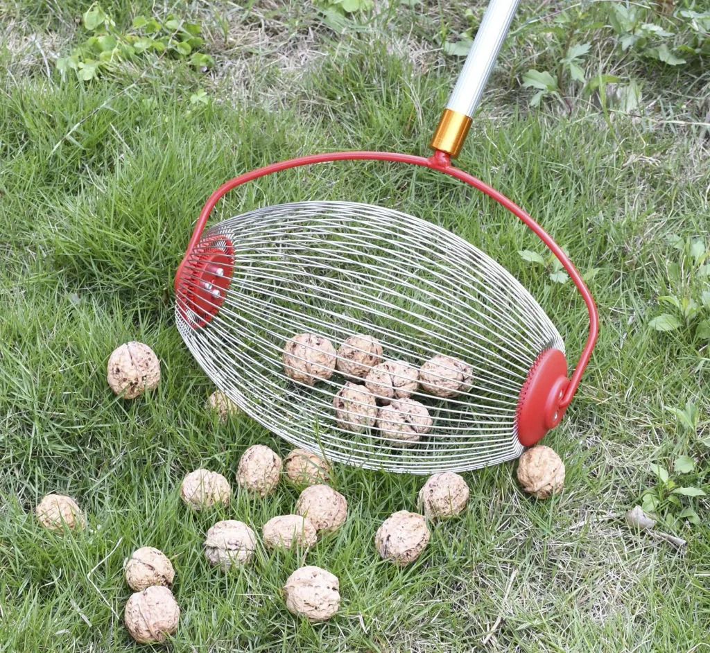 Rollsammler mit Teleskopstiel, groß