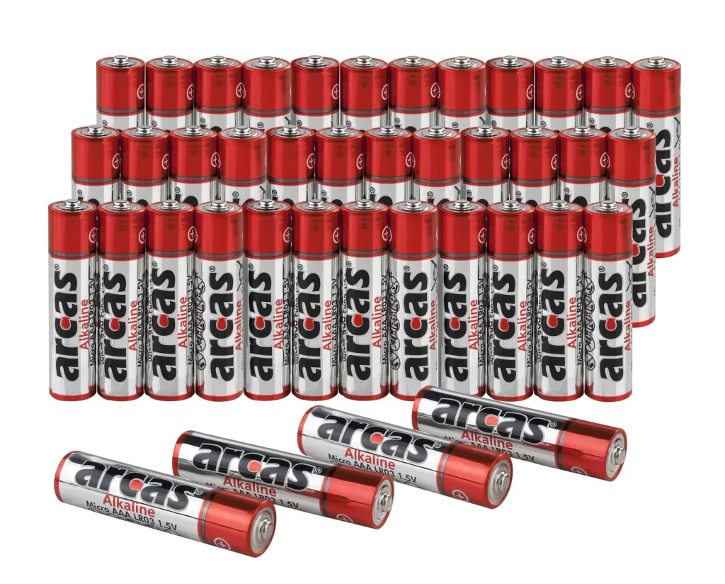 Alkaline Micro (AAA) Batterie – 36 Stück